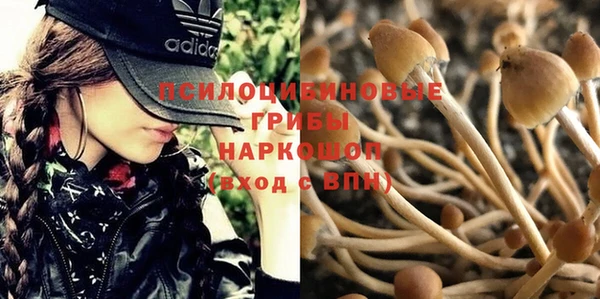 мескалин Армянск