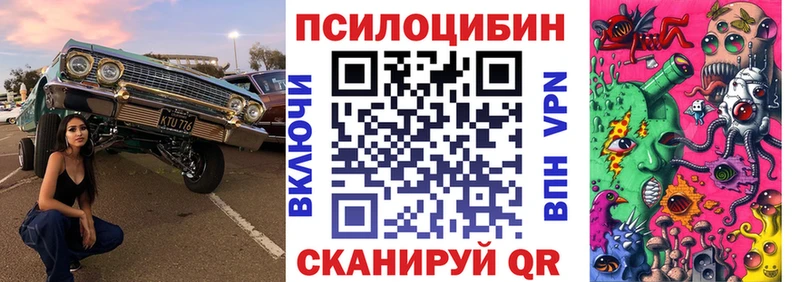Галлюциногенные грибы Psilocybine cubensis  Сальск 