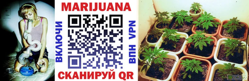 Каннабис OG Kush  mega ССЫЛКА  Сальск 